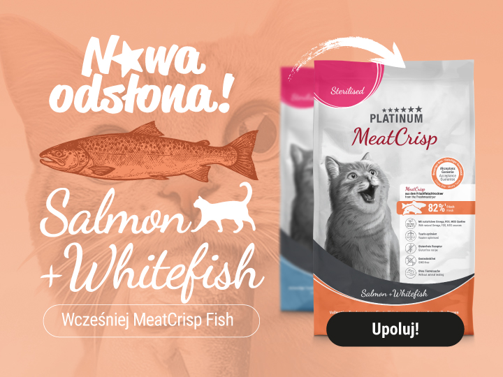 https://platinumpolska.pl/sucha-karma-dla-kotow/146-platinum-meatcrisp-sterilised-salmon-whitefish.html